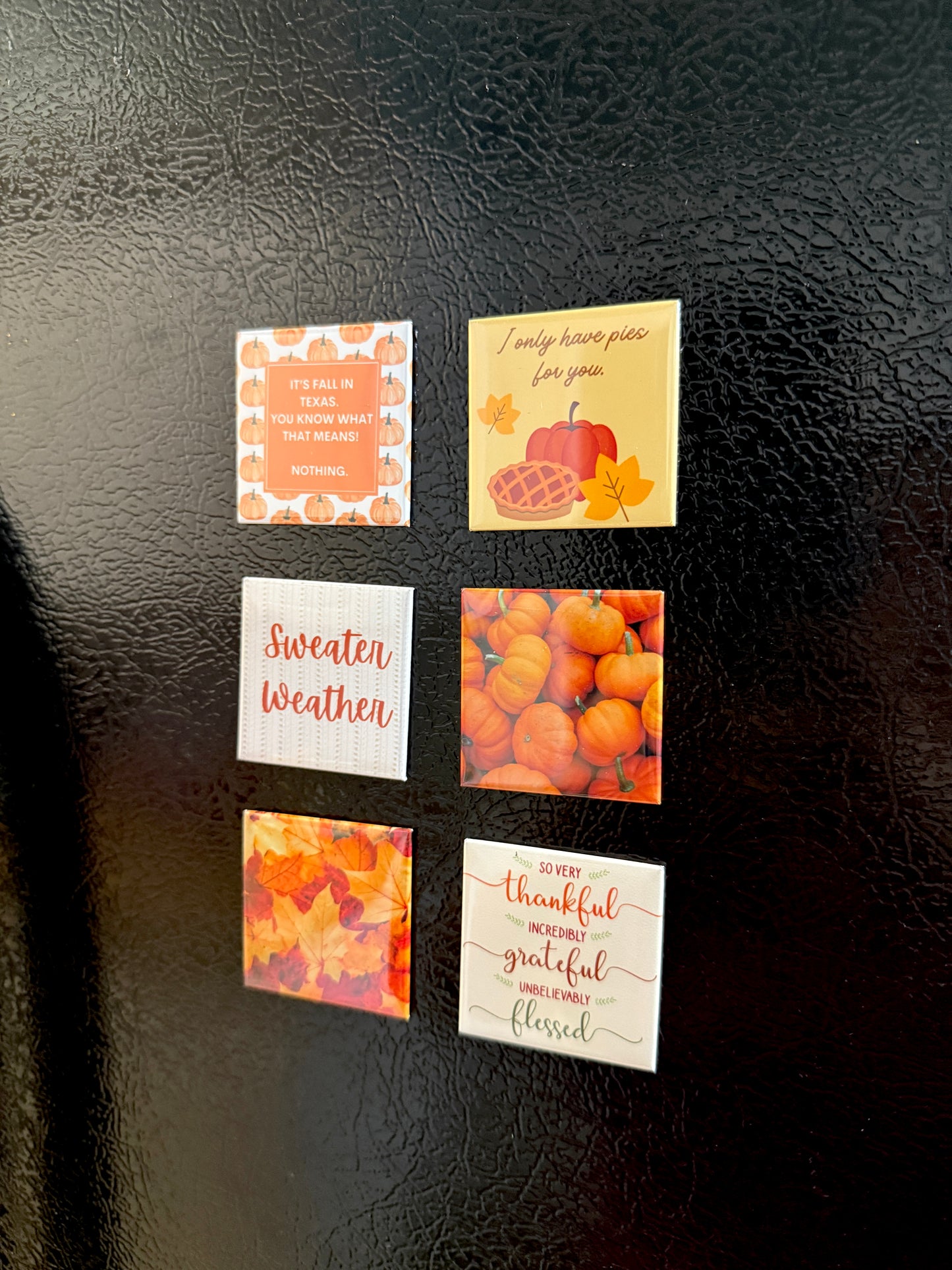 Fall Collection 2